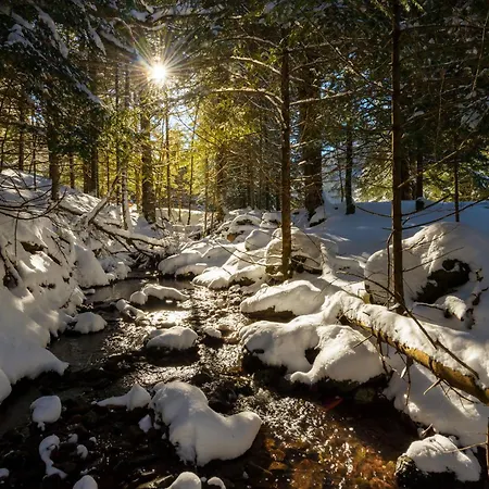 Casa Josephine By Bevalle Apartment Panticosa