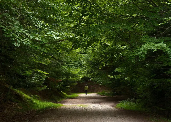 Apartment Casa Josephine By Bevalle Panticosa
