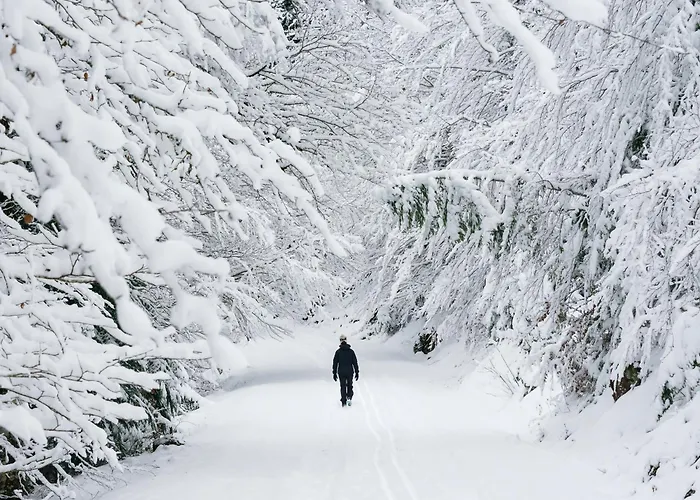 Casa Josephine By Bevalle Apartment *